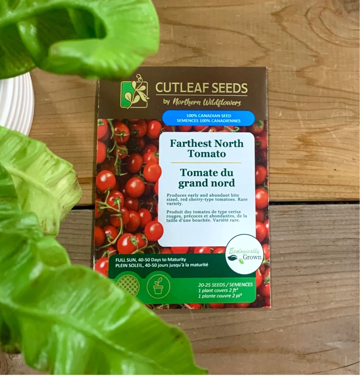 Tomato, Farthest North