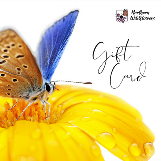 Northern Wildflowers E-Gift Card