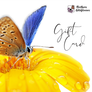 Northern Wildflowers Hardcopy Gift Card