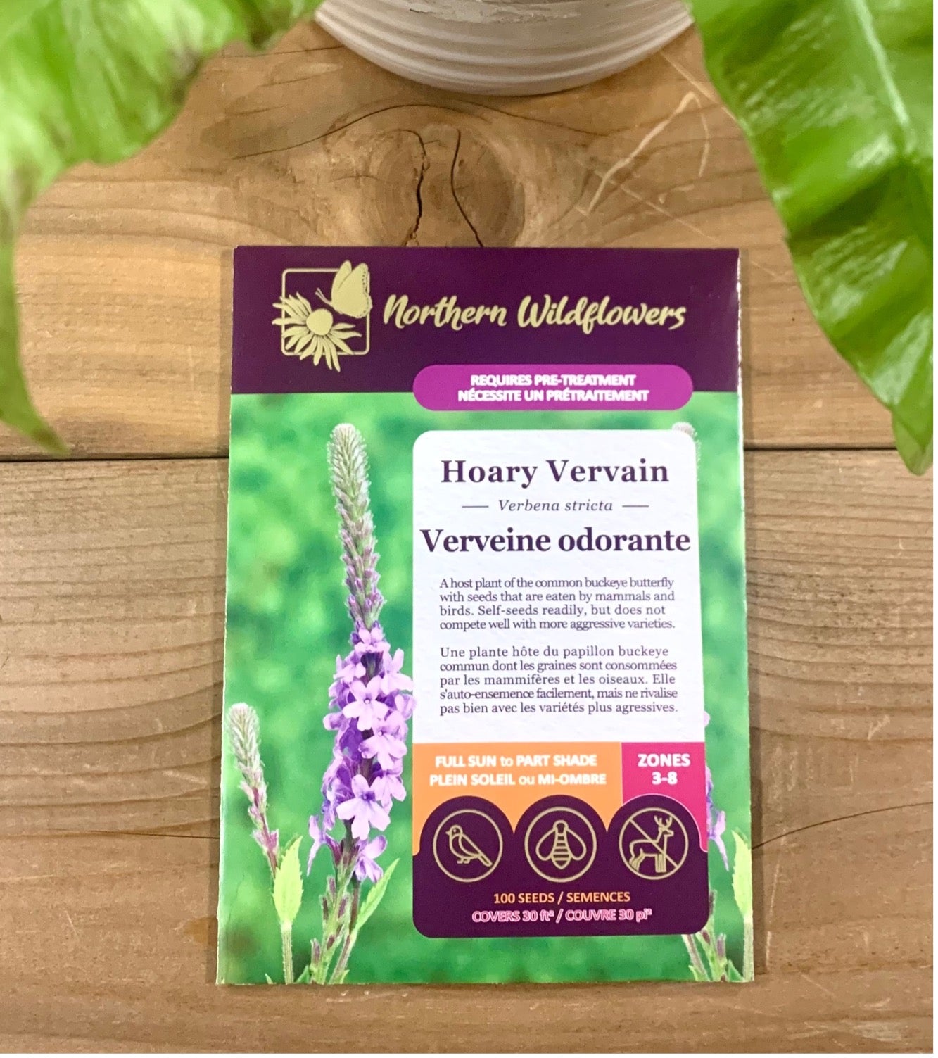 Hoary Vervain