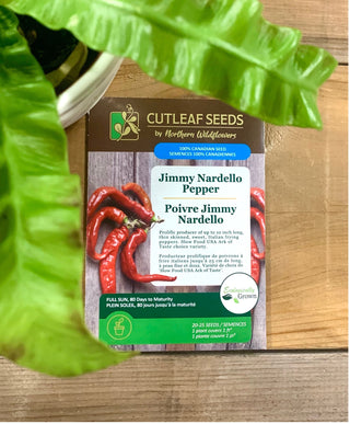 Peppers, Jimmy Nardello