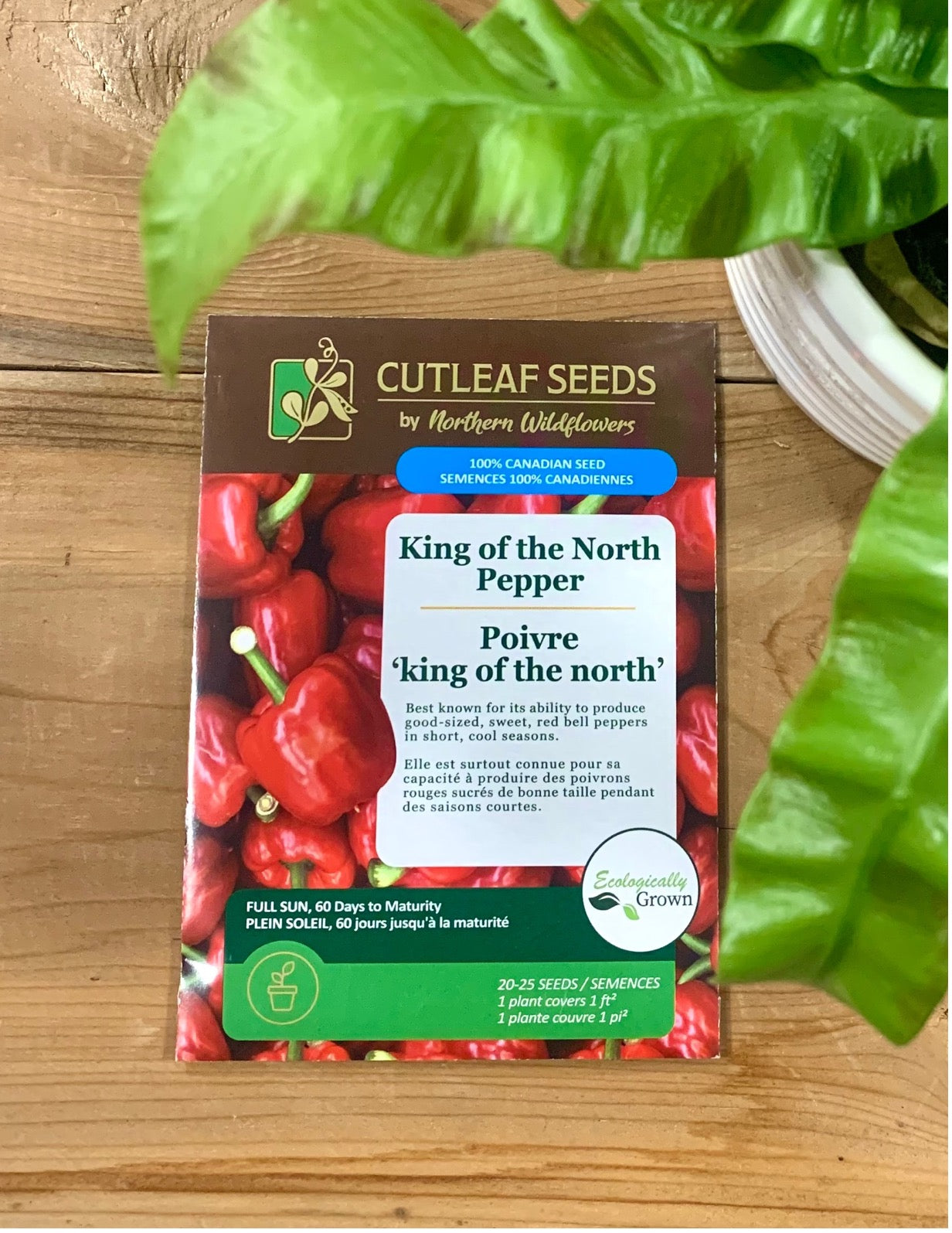 Peppers, King of the North