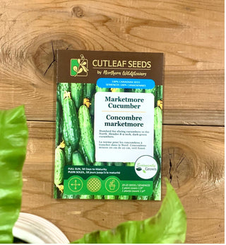 Concombre, marketmore