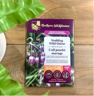 L'ail penché sauvage