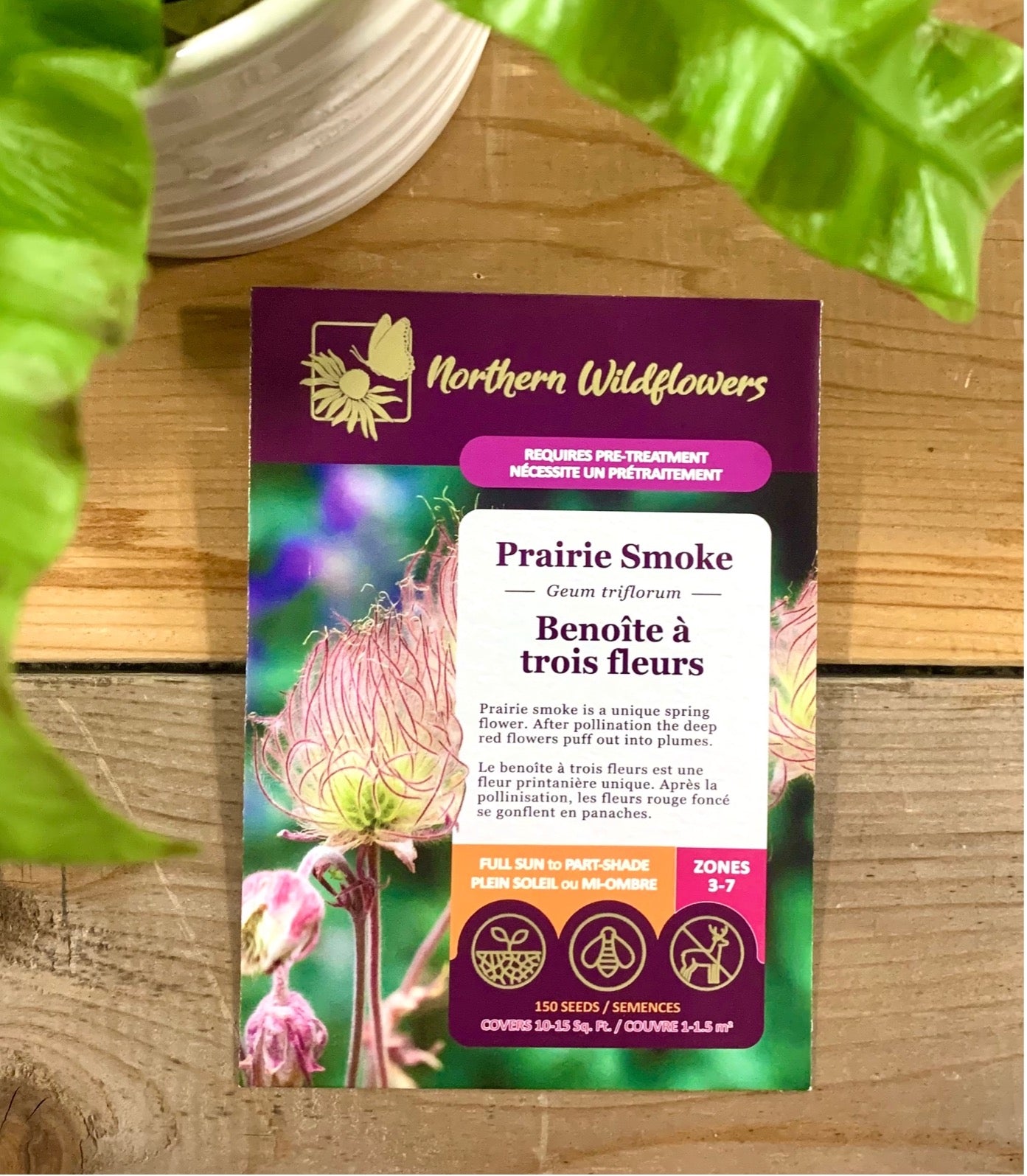 Benoîte à trois fleurs