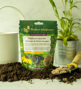 Easy to Grow Wildflower Seed Mix