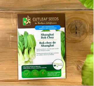 Bok choy de Shanghai