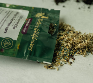 Mélange de semences de fleurs sauvages facile à cultiver